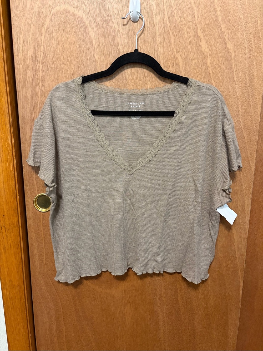 American Eagle Outfitters Taupe Cropped V-Neck Lace-Trim Top